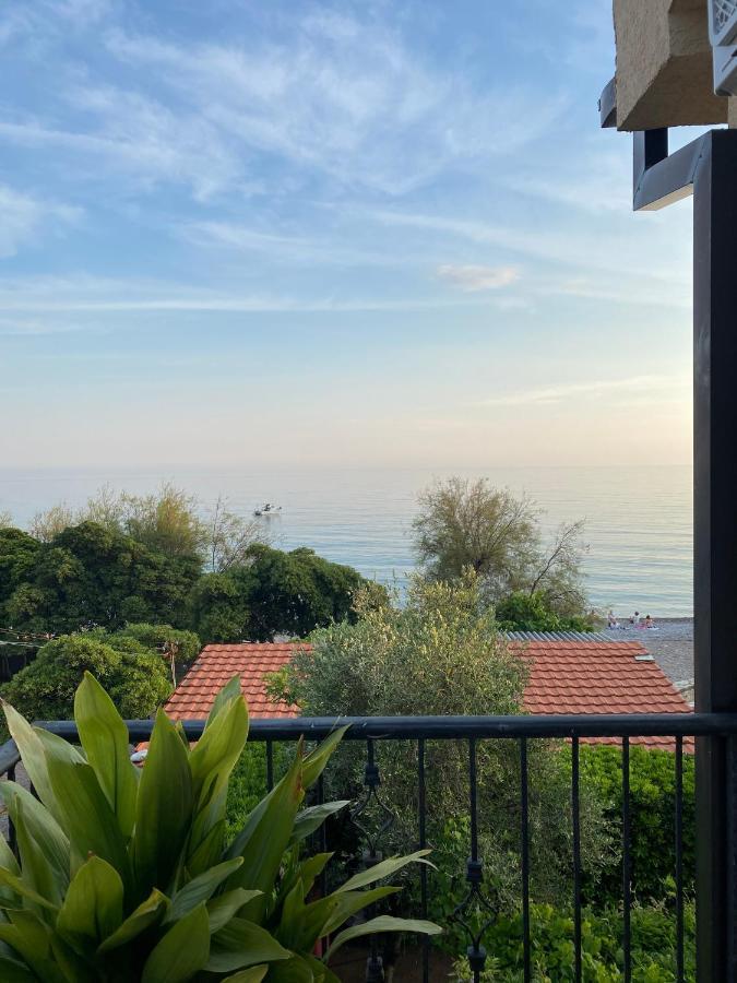 Loft Infinity Leilighet Petrovac Eksteriør bilde