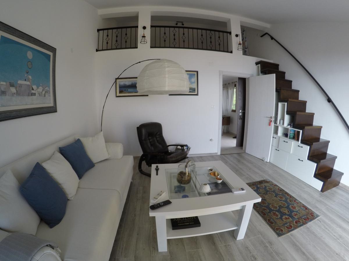Loft Infinity Leilighet Petrovac Eksteriør bilde