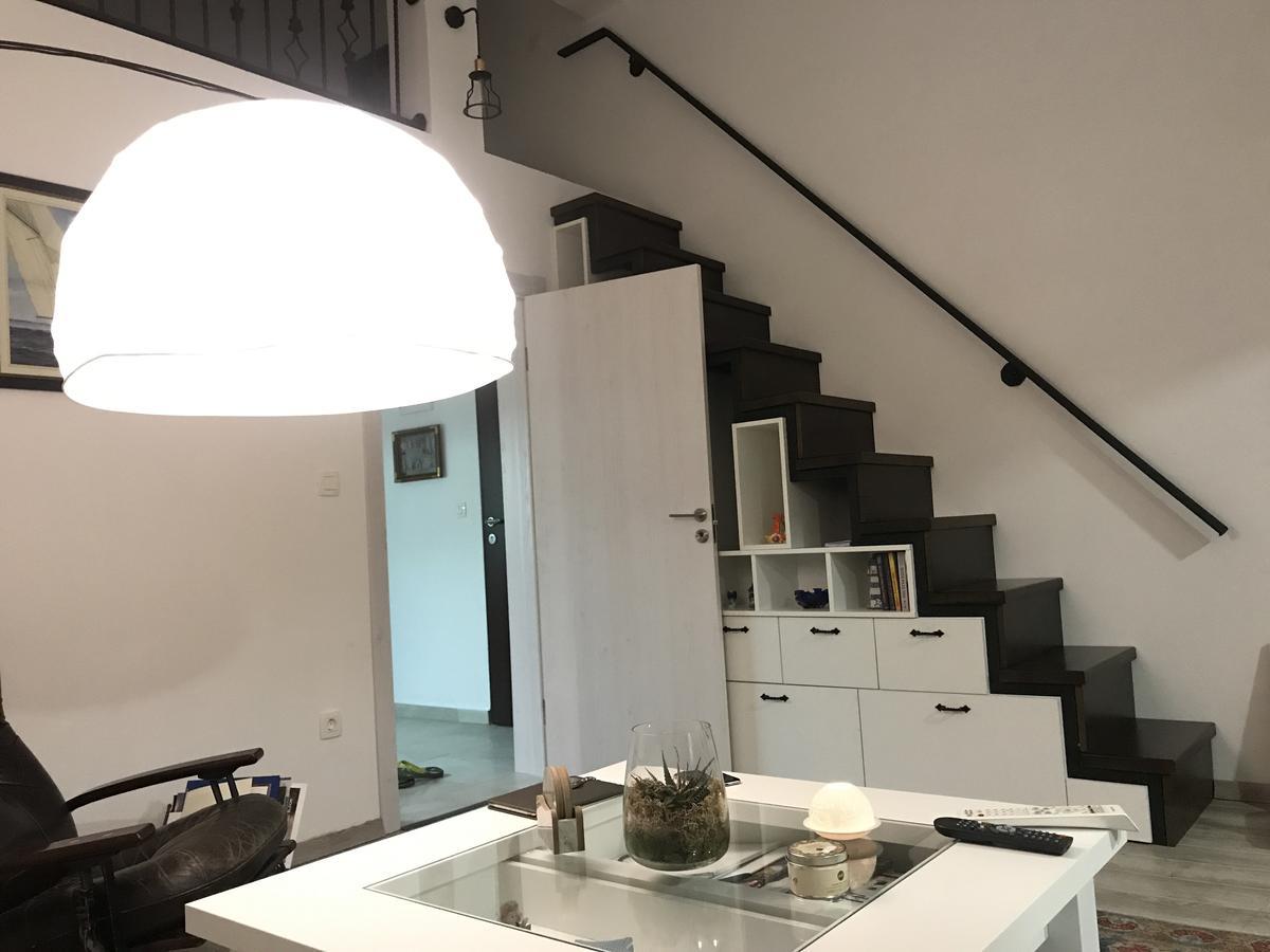 Loft Infinity Leilighet Petrovac Eksteriør bilde